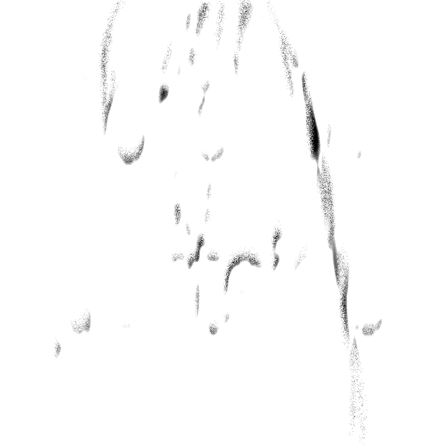 cordelia gartside logo